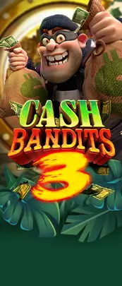 Cash Bandits 3